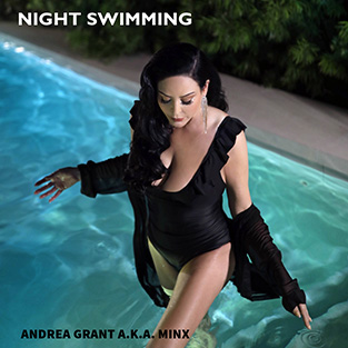 Night Swimming - Andrea Grant